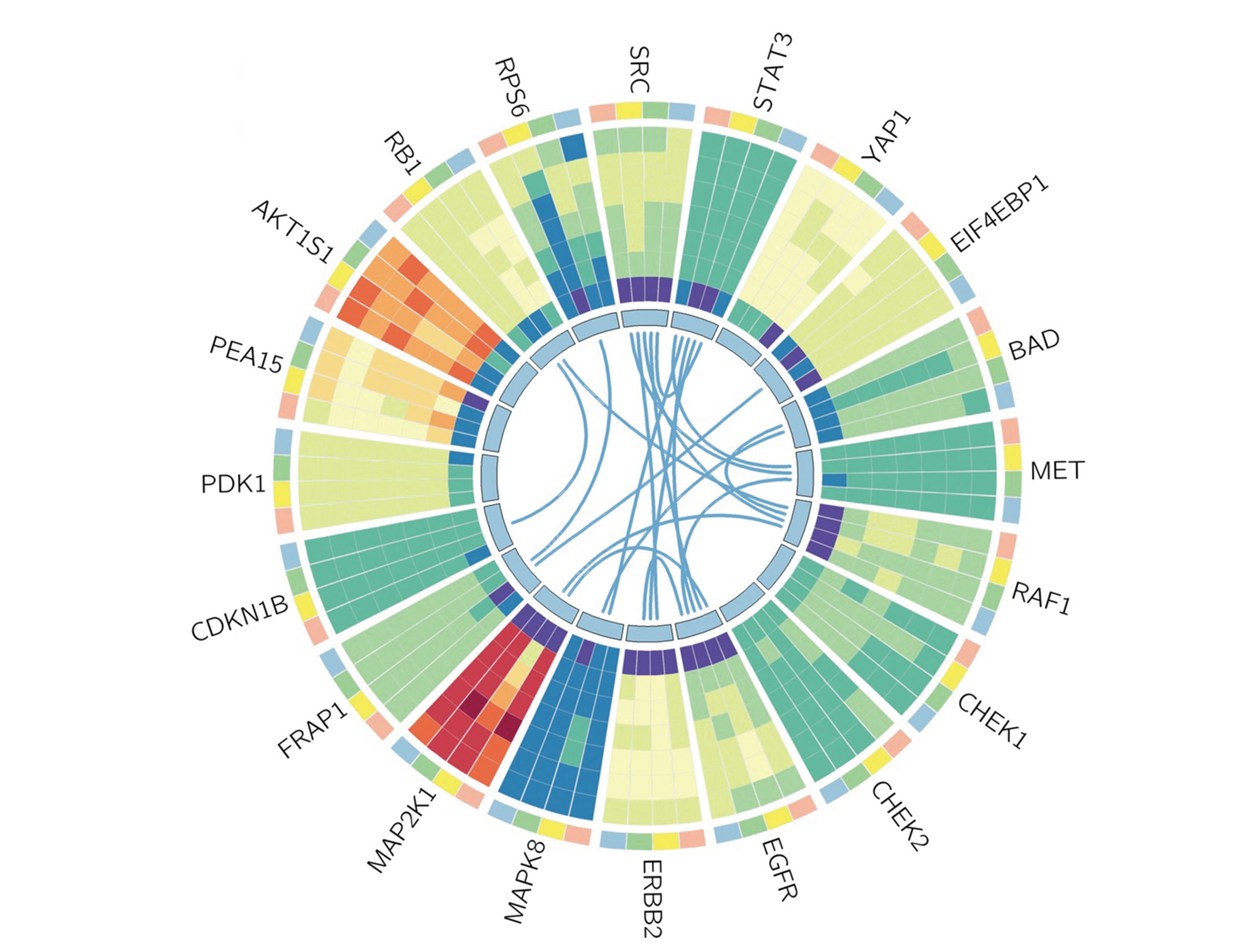 1021_BIOWHEEL-1-web_看图王.jpg